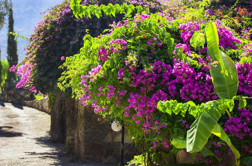 Paradise Garden Hotel Oludeniz Kültér fotó