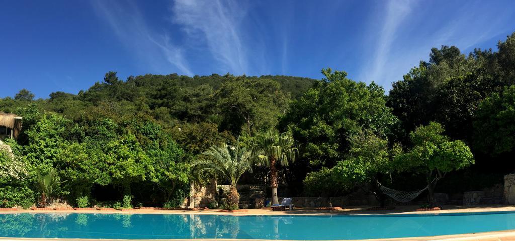 Paradise Garden Hotel Oludeniz Kültér fotó