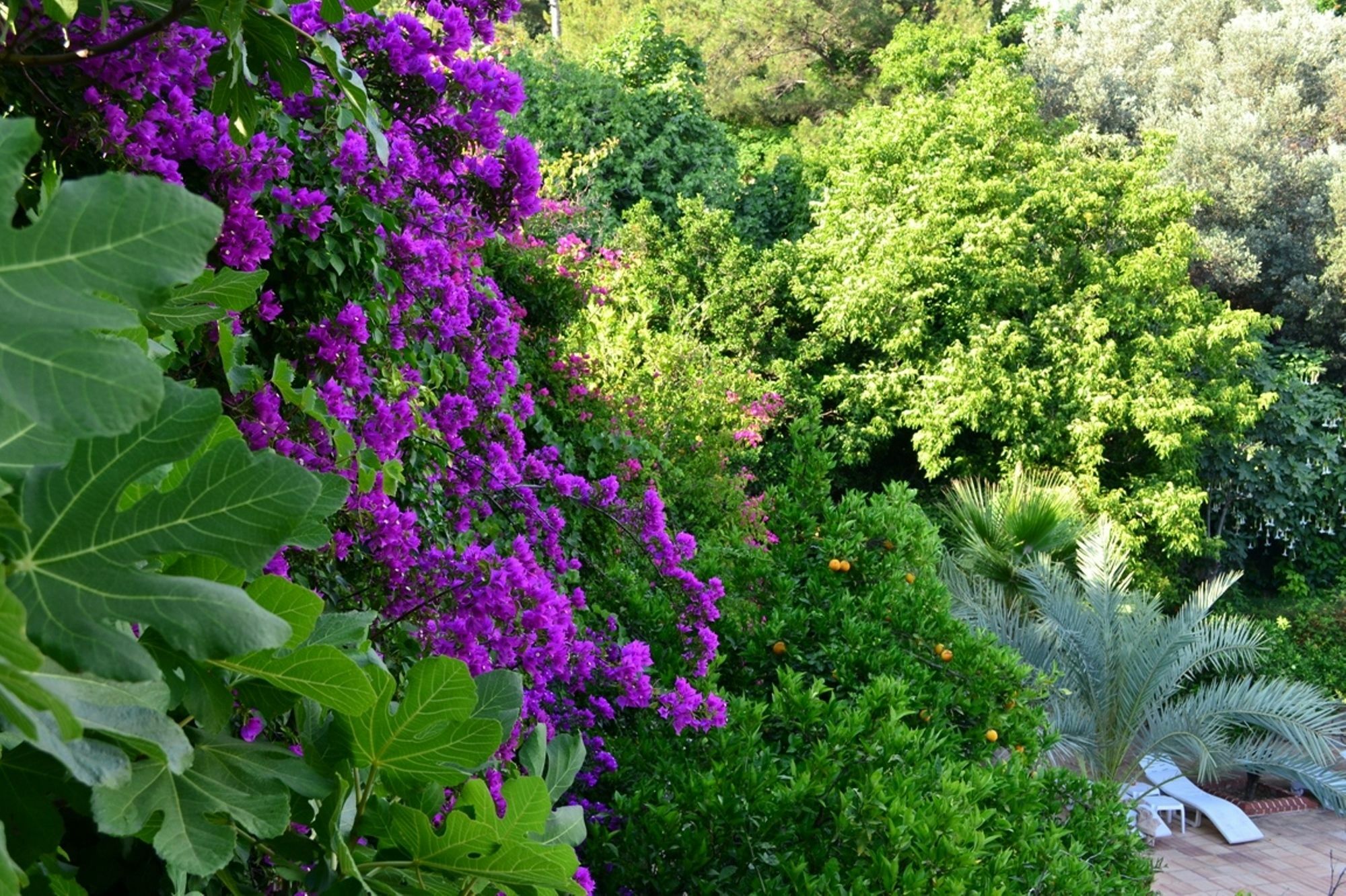 Paradise Garden Hotel Oludeniz Kültér fotó